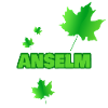 Fortwirt Anselm