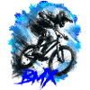 BMX Bike