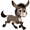 Donkey grey