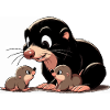 Mole with youngsters
