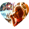 Puppyheart at the Window