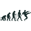 Karate Evolution