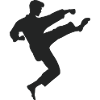 karate