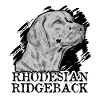 Love Rhodesian Ridgeback