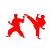 Jiu Jitsu Autodéfense