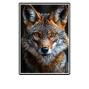 Jackals Jackal