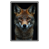 Jackals Jackal