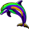 Dolphin