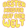 Master as a vocation