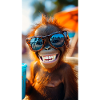 Cheeky Orangutan Beach Vibes