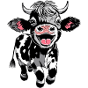 Happy calf in black and white
