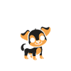 Chiweenie