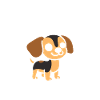 Chiweenie