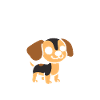 Chiweenie