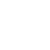 Chiweenie
