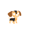 Chiweenie