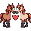 Couple de chevaux Saint-Valentin