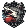 Boxer Requin MMA