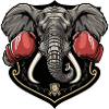 Boxer éléphant MMA