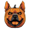 Pumpkin Dog Halloween Dog Pumpkin