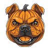 Pumpkin Dog Halloween Dog Pumpkin