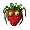 strawberry spider strawberry spider