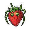 strawberry spider strawberry spider