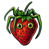 strawberry spider strawberry spider