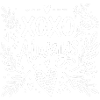XOXO Always