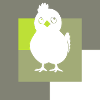 Chicken coop chicken