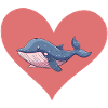 Marine Life Underwater Whales