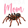 Tarantula Mom Spiders