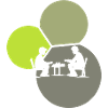 Brettspiele Gemeinschaftsspiele Spieleabend