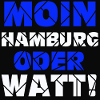 Hamburg , Moin oder watt (25)
