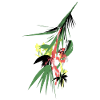 Tropische Farbexplosion