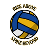 Puissance du volleyball
