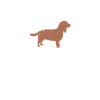 Cocker Spaniel Gifts