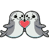 Couple de phoques Saint-Valentin