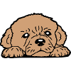 Puppy Dog Lies Good Cute Faithful Sweet Sweet Look