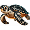 Green turtle large