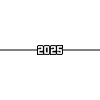 2025 year