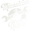 Mécanicien Naval Marine Nationale