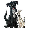 Canine