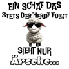 cooles Schaf mit Statement