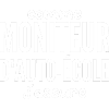 Moniteur Auto-école