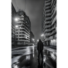 The road