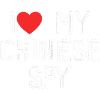 I Love My Chinese Spy