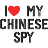 I Love My Chinese Spy