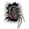 Halloween Spider Spider Phobia Panic