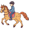 Riding Saddle